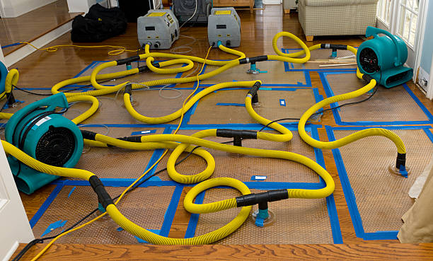 Professional Sewage Cleanup technician working in Winfield, AL
